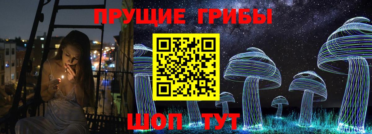 Псилоцибиновые грибы прущие грибы  Вход с VPN  Трёхгорный 